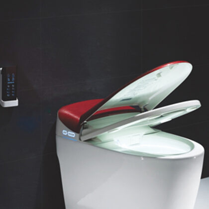 Wc a commande (intelligente)&quot; Disponible &quot;